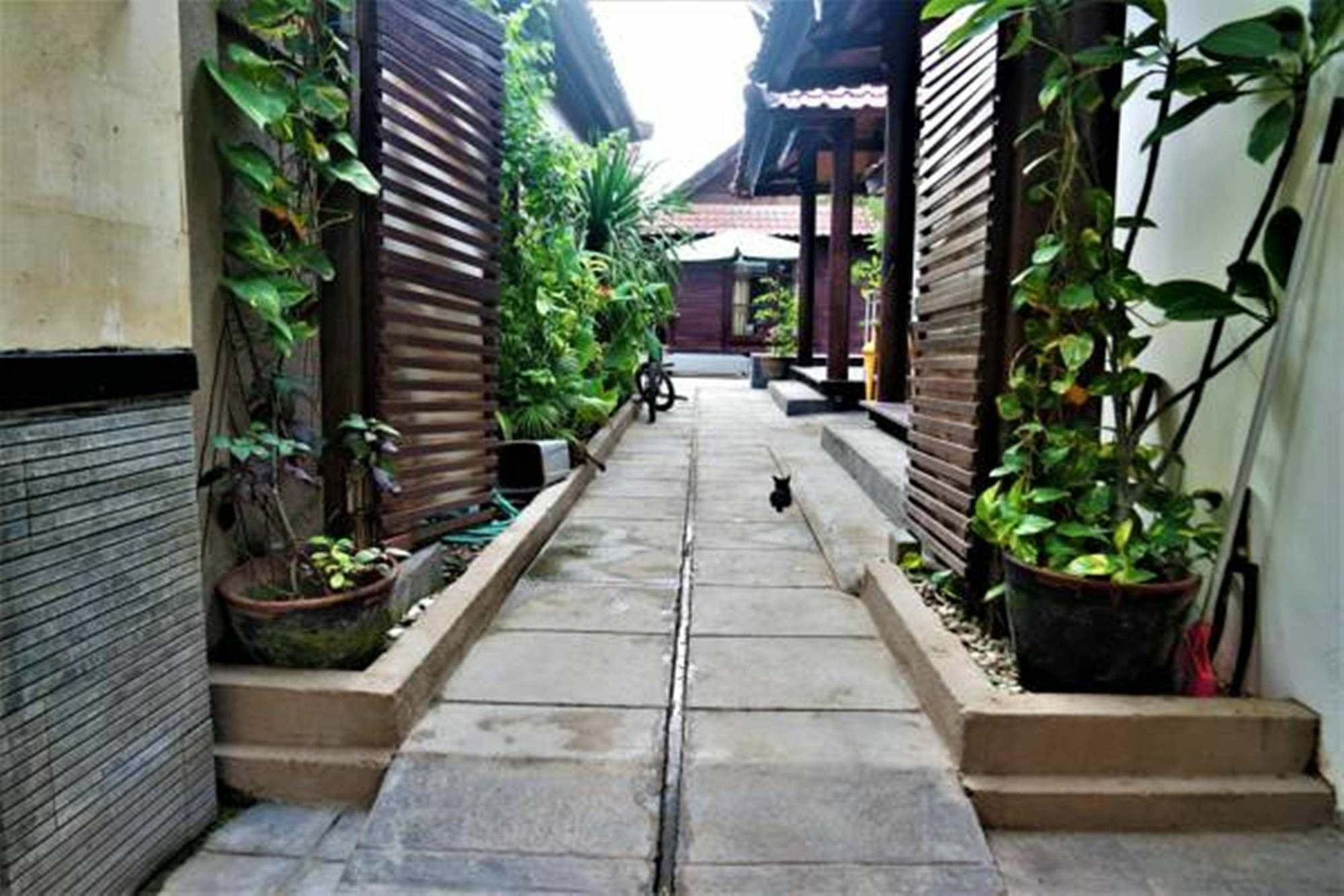 Drupadi Bungalows Gili Trawangan Dış mekan fotoğraf